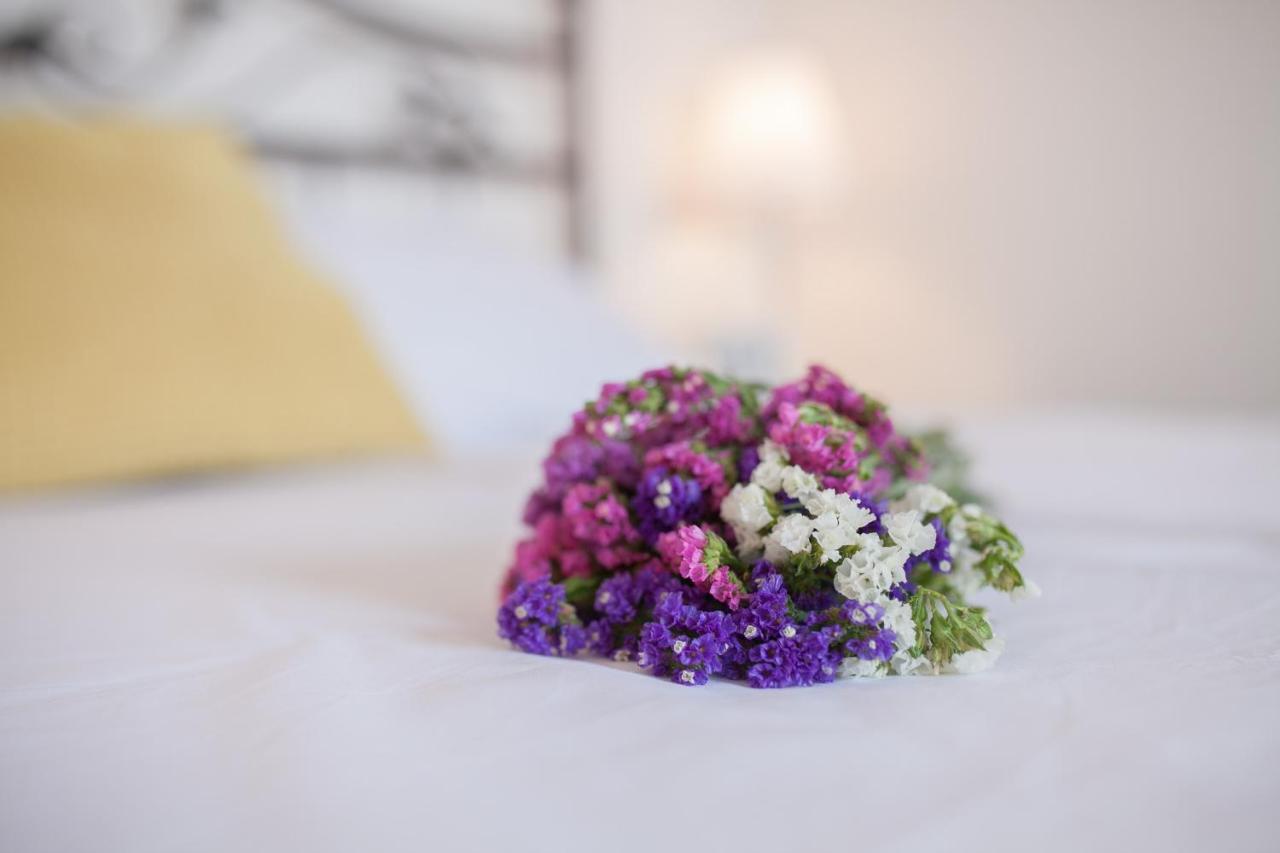 Imperium Central Apartments ซาดาร์ ภายนอก รูปภาพ